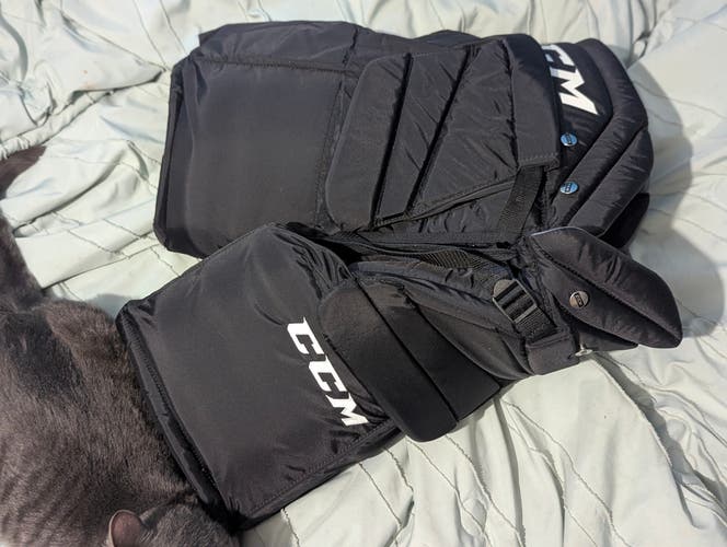 Senior Large CCM Hockey Goalie Pants (Used)