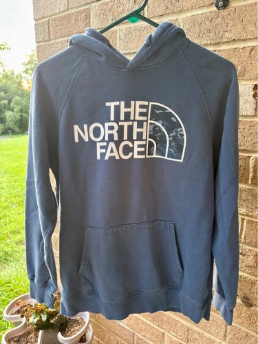 Blue Adult Unisex Medium The North Face Sweatshirt (Used)