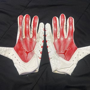Large Jordan Gloves (Used)