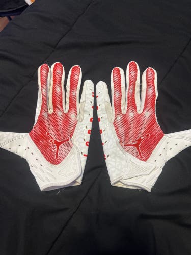 Large Jordan Gloves (Used)