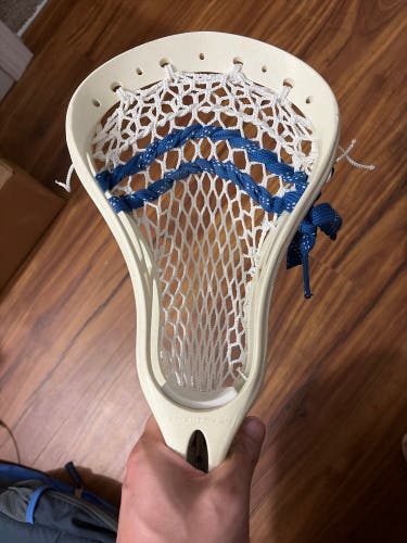 *Rare* Warrior Evolution 2.0