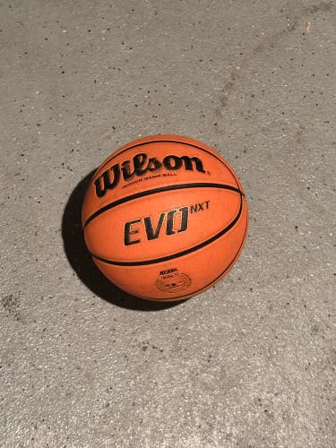 Men's Wilson Basketball (Used)