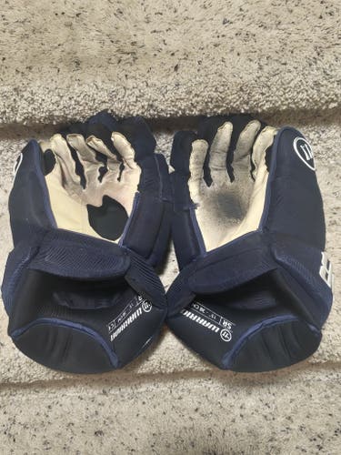 Warrior Alpha DX (Ekblad) Gloves 15" Pro Stock