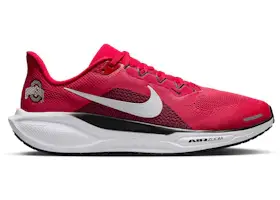 Size 13 - Nike Air Zoom Pegasus 41 Ohio State Buckeyes IB3254-600