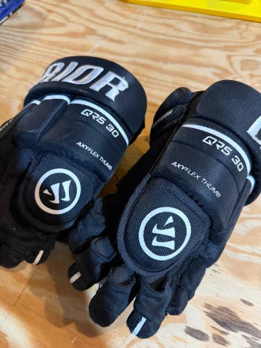 Warrior Covert QR5 30 Gloves 13" (Used)