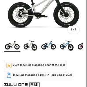 BMX Bike (Used)