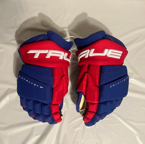 Team USA NTDP True Catalyst 9x Pro Gloves 14" Pro Stock (Used)
