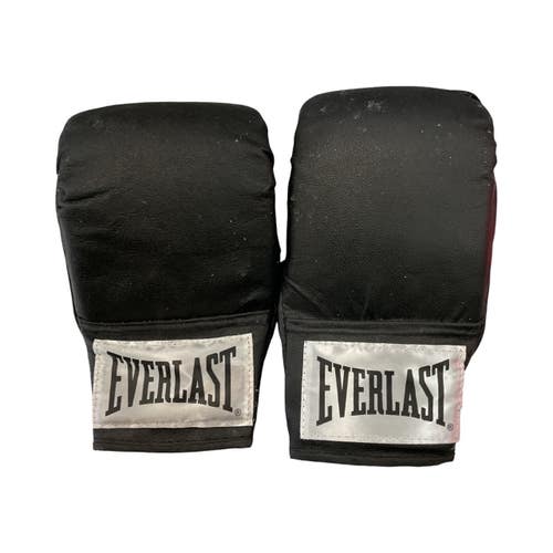 Everlast Boxing Gloves 11859-S000033025