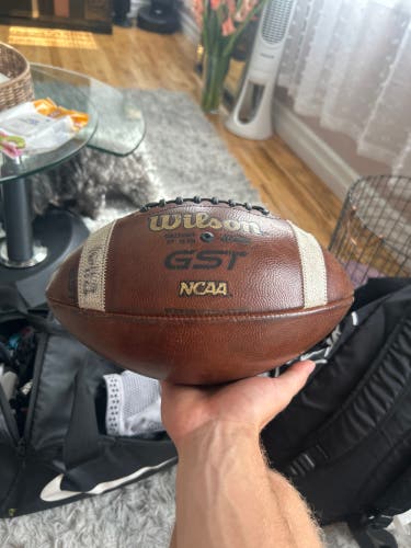 Adult Wilson Football (Used)