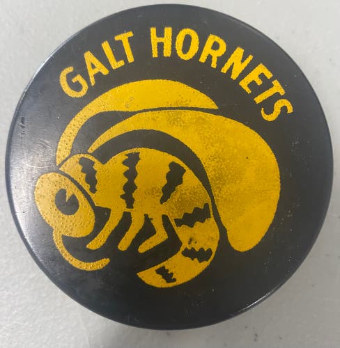 Galt Hornets puck (Senior A)