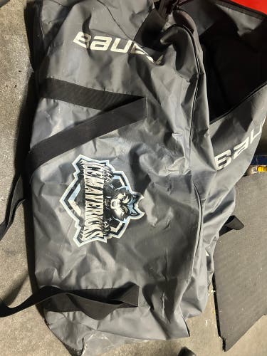 Bauer Pro Bag (Used)