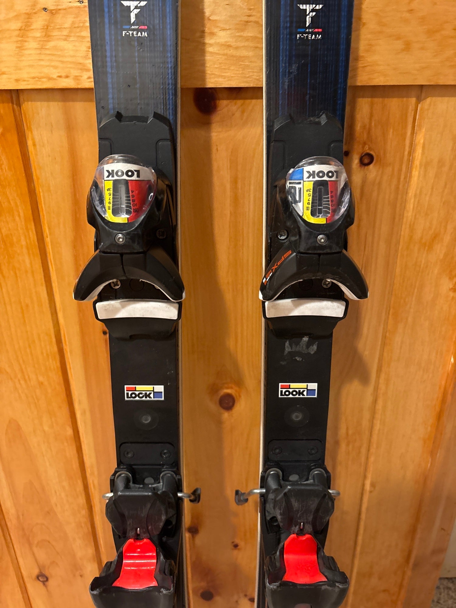 Dynastar Speed Omeglass WC SL FIS 163 cm Racing Skis (Used