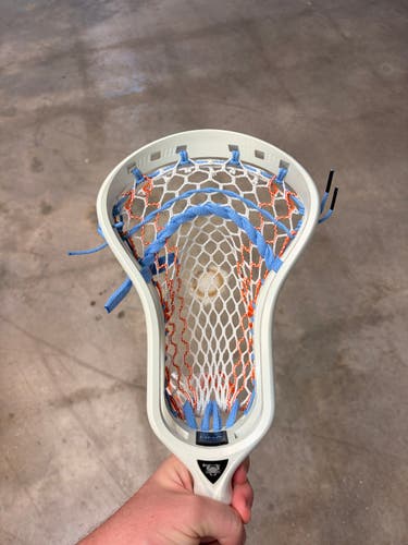 Custom Strung ECD DNA
