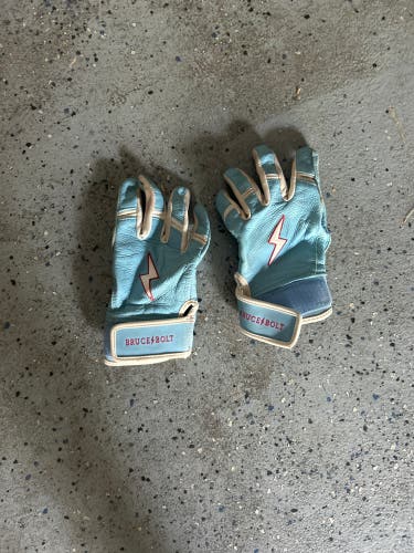 Large Batting Gloves (Used)