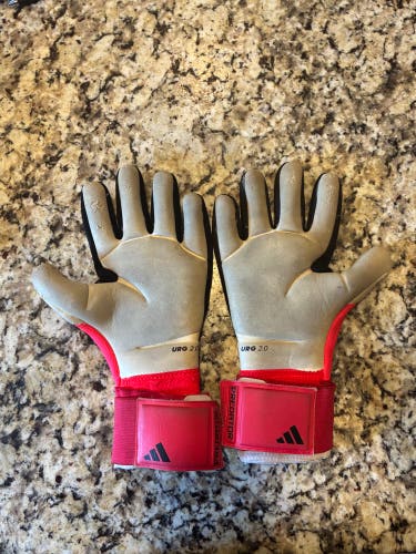 Adidas Goalie Gloves (Used)