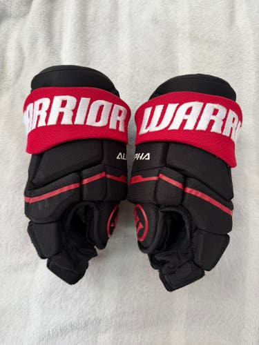 Warrior Alpha LX 30 Gloves 10" (Used)