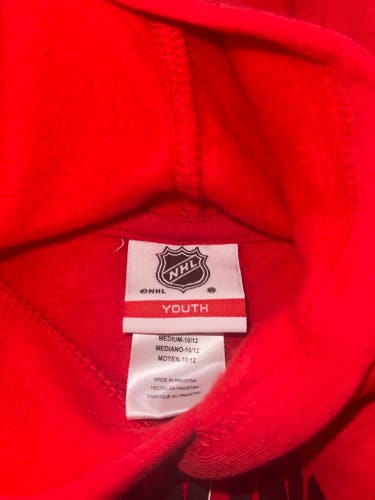 Red Kids Unisex Medium Detroit Red wings Sweatshirt and sweat pants (New)
