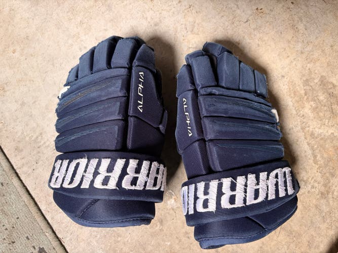 Warrior Alpha Gloves 11" (Used)