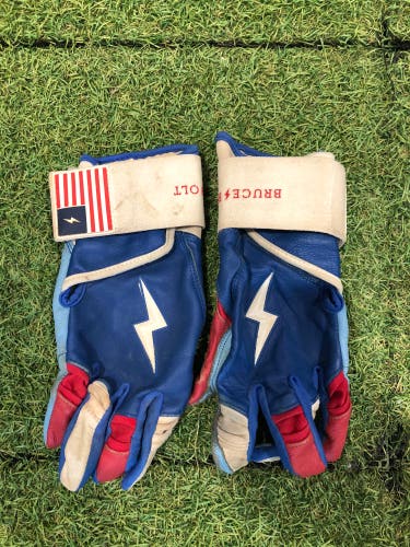 Blue Adult Small Bruce Bolt Batting Gloves (Used)