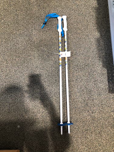34in (85cm) Rossignol Ski Poles (Used)