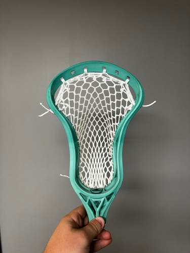 Fresh Strung Silverfin Camber (teal dye)