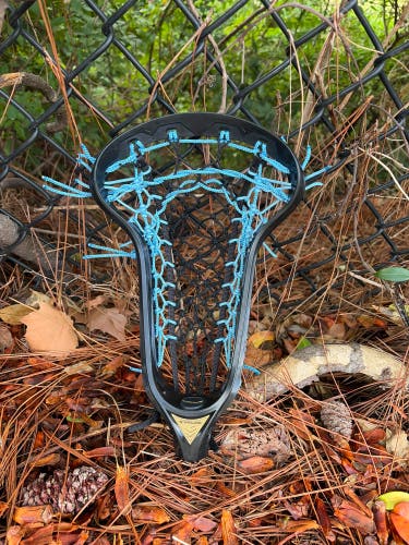 True lynx Head (Used)