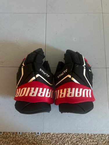 Warrior Alpha LX2 Max Gloves 14" (Used)