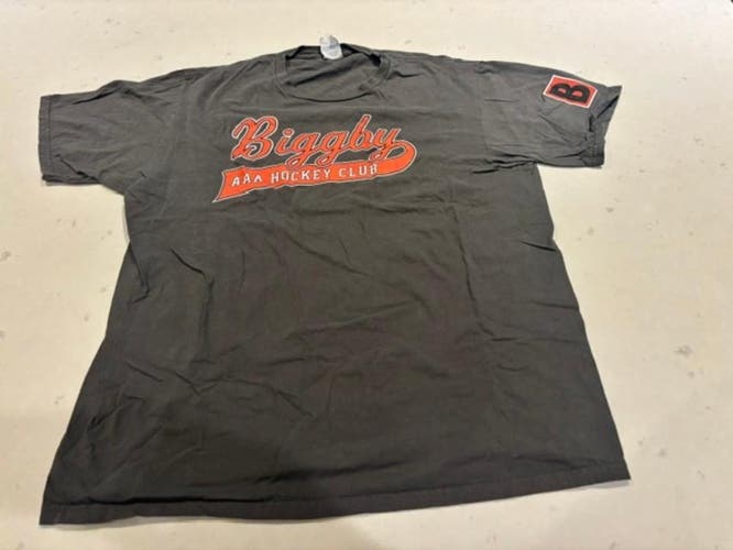 Biggby AAA Michigan Hockey T Shirt Size Large