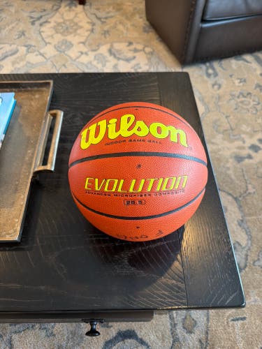 Wilson Evolution Basketball