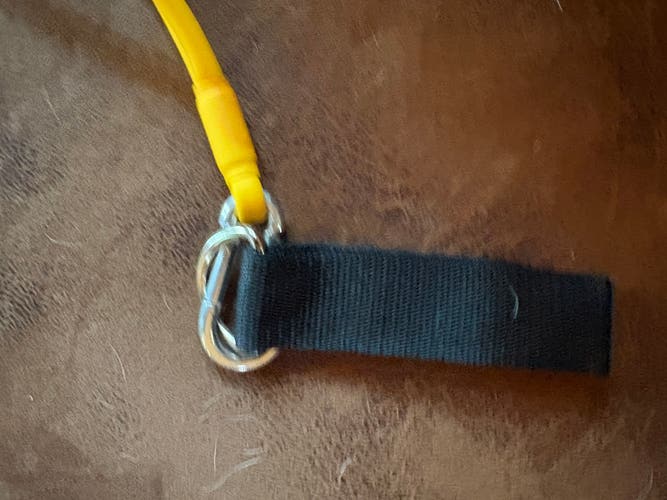 Bands (New)