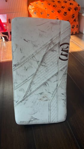 2024 Warrior Ritual G7 Pro Regular (Used)