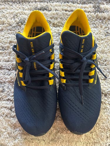 Nike Air Zoom Pegasus 38 Michigan Wolverines Team Issued – Men’s 8.5 (used)