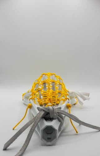 Strung Turtle Dome Head Traditional