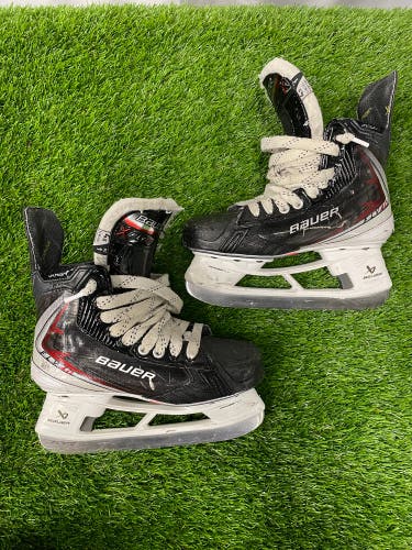 Bauer Vapor FLY40 (2025 Model) - Intermediate