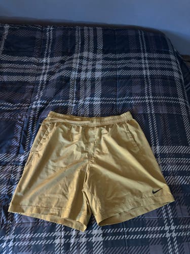 Gold Large Men's Nike Shorts (Used)