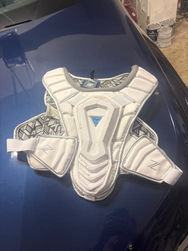Large Adult True Zerolyte Shoulder Pads (Used)