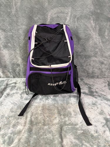 Purple Other Bags & Batpacks Bat Pack (Used)