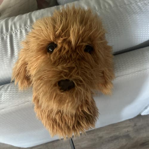 Daphnes Golden Retriever Lab Doodle Dog Golf Headcover Driver Fairway Wood