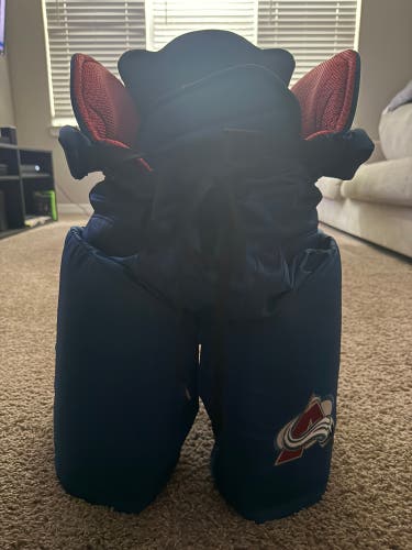 Men's Senior Medium CCM HP45 Hockey Pants (New)