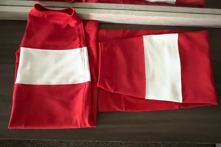 Detroit Red Wings Senior Large Adidas Socks Team Issued Pro Stock (New)