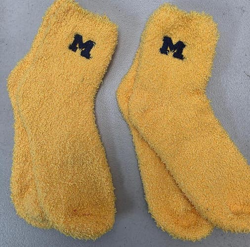 ST15 Mens NCAA MICHIGAN WOLVERINES Crew Socks Lot of 2 Pair LARGE New