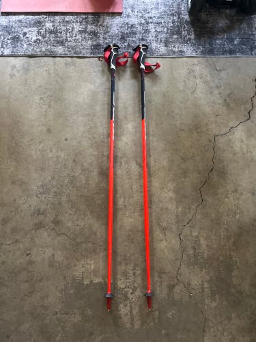 50in (125cm) Swix GS Racing Ski Poles (Used)