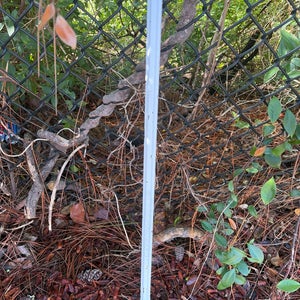 ECD Carbon Pro 3.0 Shaft (Used)