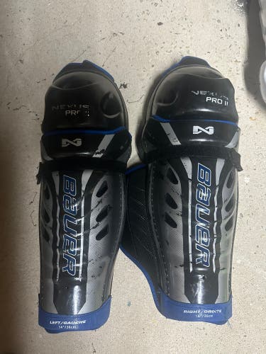 Senior Bauer Nexus Classic 14" Shin Pads (Used)