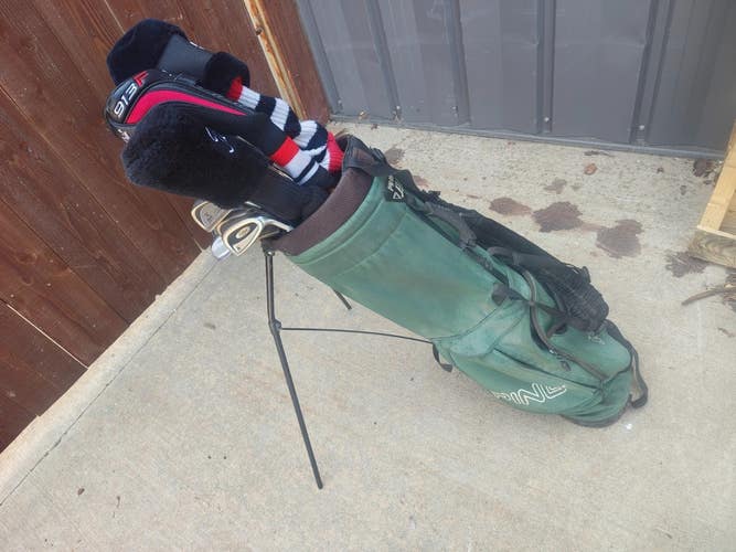 Titleist Odyssey Wilson 15 Piece Complete Golf Set Ping Stand Bag