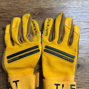 Batting Gloves (Used)