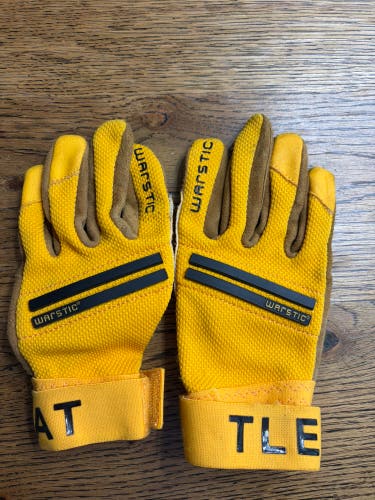 Batting Gloves (Used)