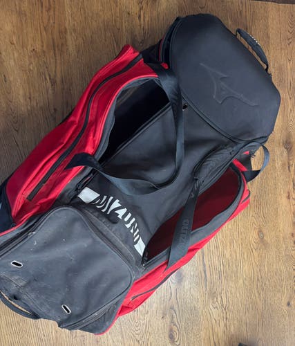 Mizuno Catcher's Bag (Used)