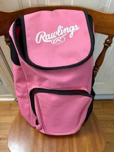 Rawlings Bat Bag (Used)
