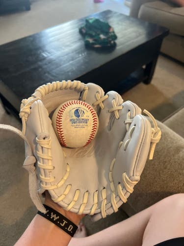 Valle Eagle 8SWT Training Glove(Like New)
